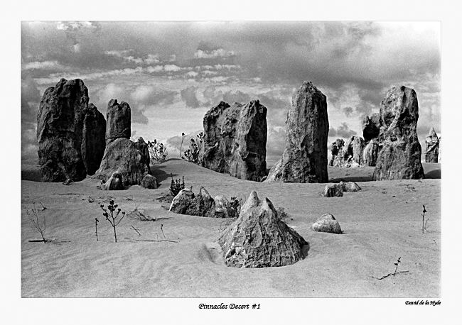 Pinnacles Desert #1