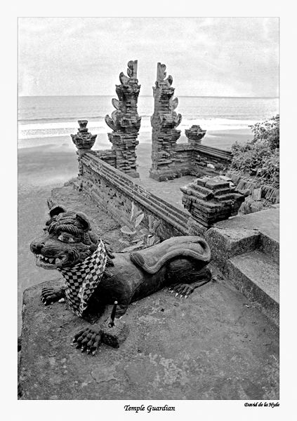 Temple Guardian