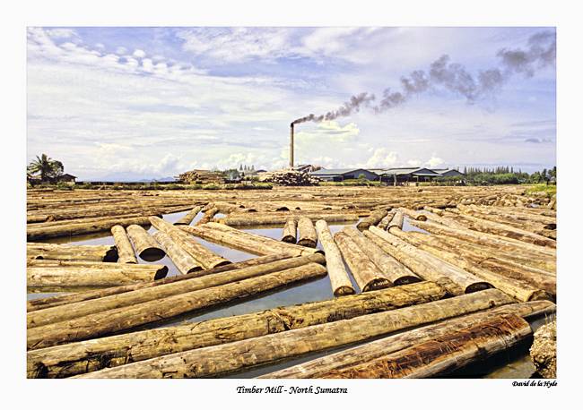 North Sumatran Timber Mill